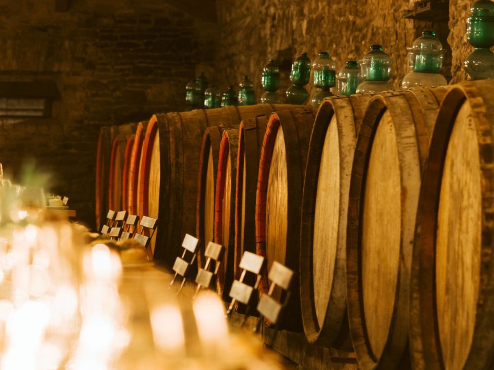 Theotokis Estate - Winery